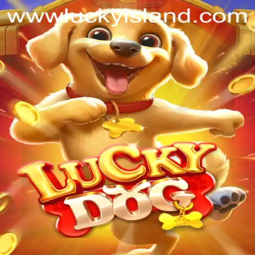 Exploring LuckyDog: The Thrilling Casino Adventure